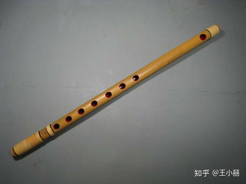 山川異域 風月同天——日本樂器在援助抗疫國家樂器展中的風采